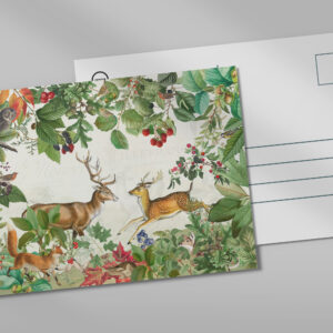 raxxa Postkarte: Faszination des Waldes