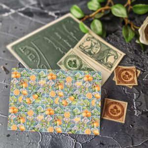 raxxa Postkarte: Orangen