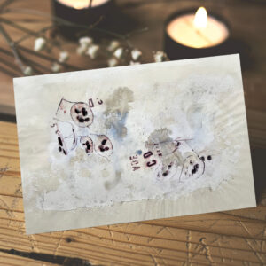 raxxa Postkarte: Silberlinge