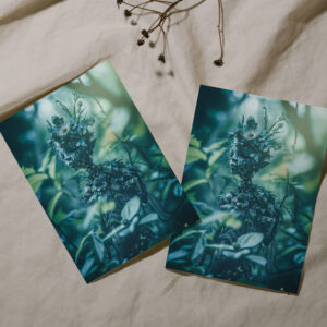 raxxa Postkarte: Isilwyn Nebelkranz