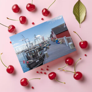 raxxa Postkarte: Alter Fischreihafen Boltenhagen