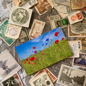 raxxa Postkarte: Feldblumen