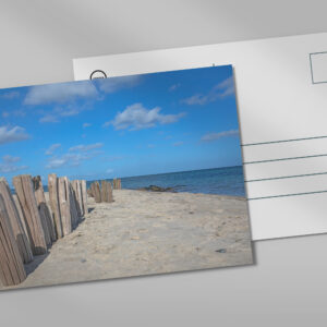 raxxa Postkarte: Buhnen am Ostseestrand in Dahmeshöved