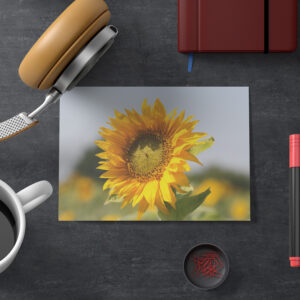 raxxa Postkarte: Sonnenblume