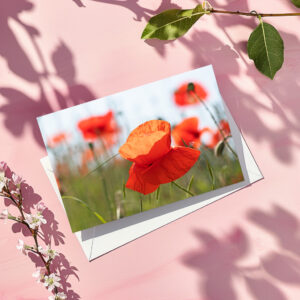 raxxa Postkarte: Mohnblüte