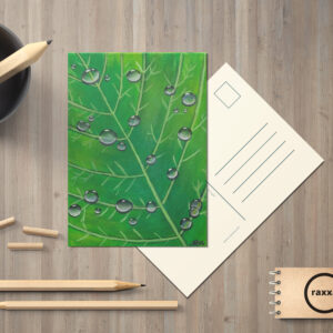 raxxa Postkarte: Waterdrops on a leaf
