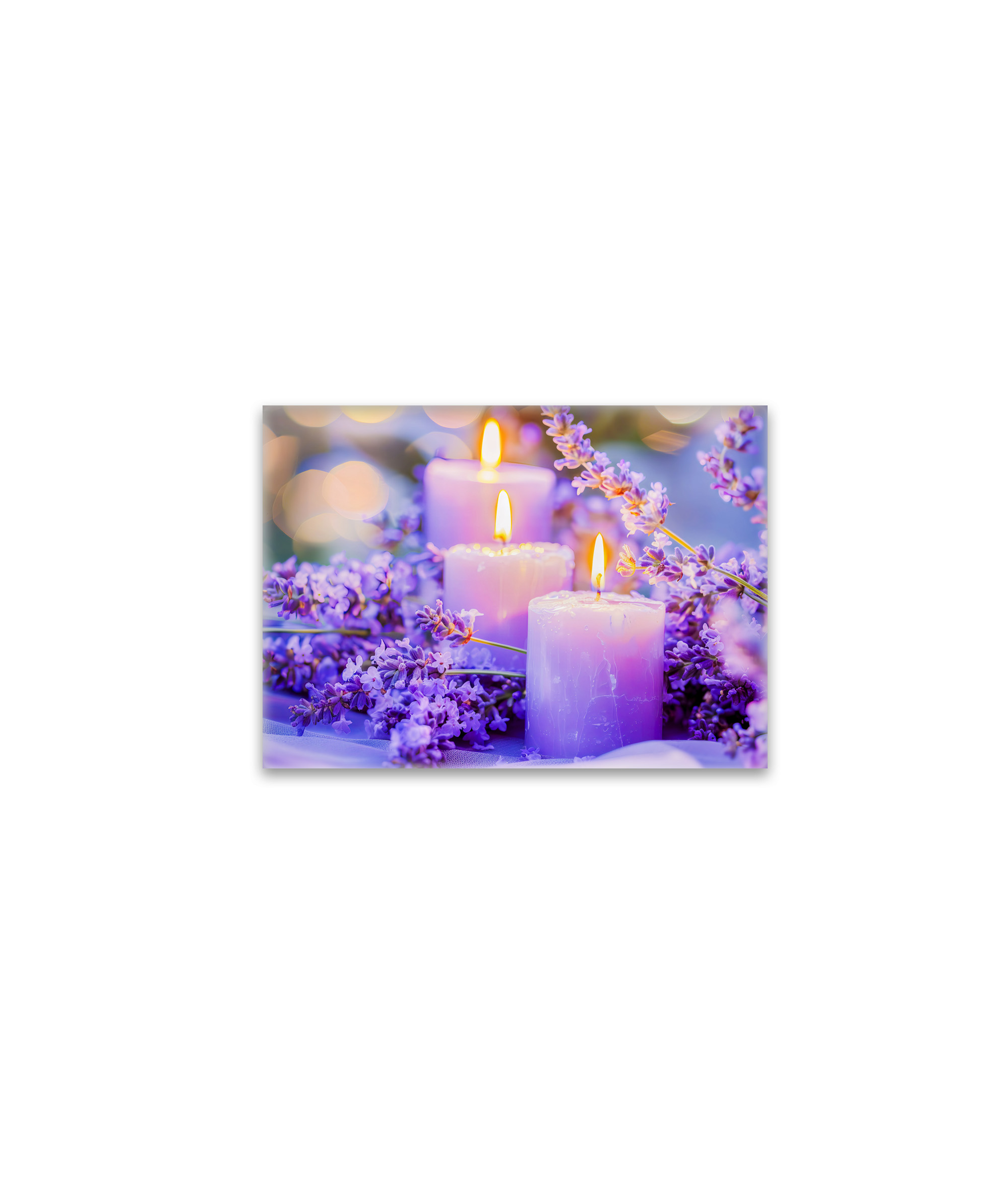 raxxa Glas-Magnet: Lavendel und Kerzenschein am Winterfenster