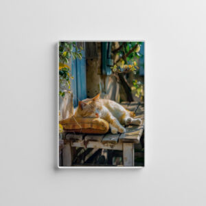 raxxa Glas-Magnet: A sleeping cat rests peacefully in a cozy environment on bench in front of a house