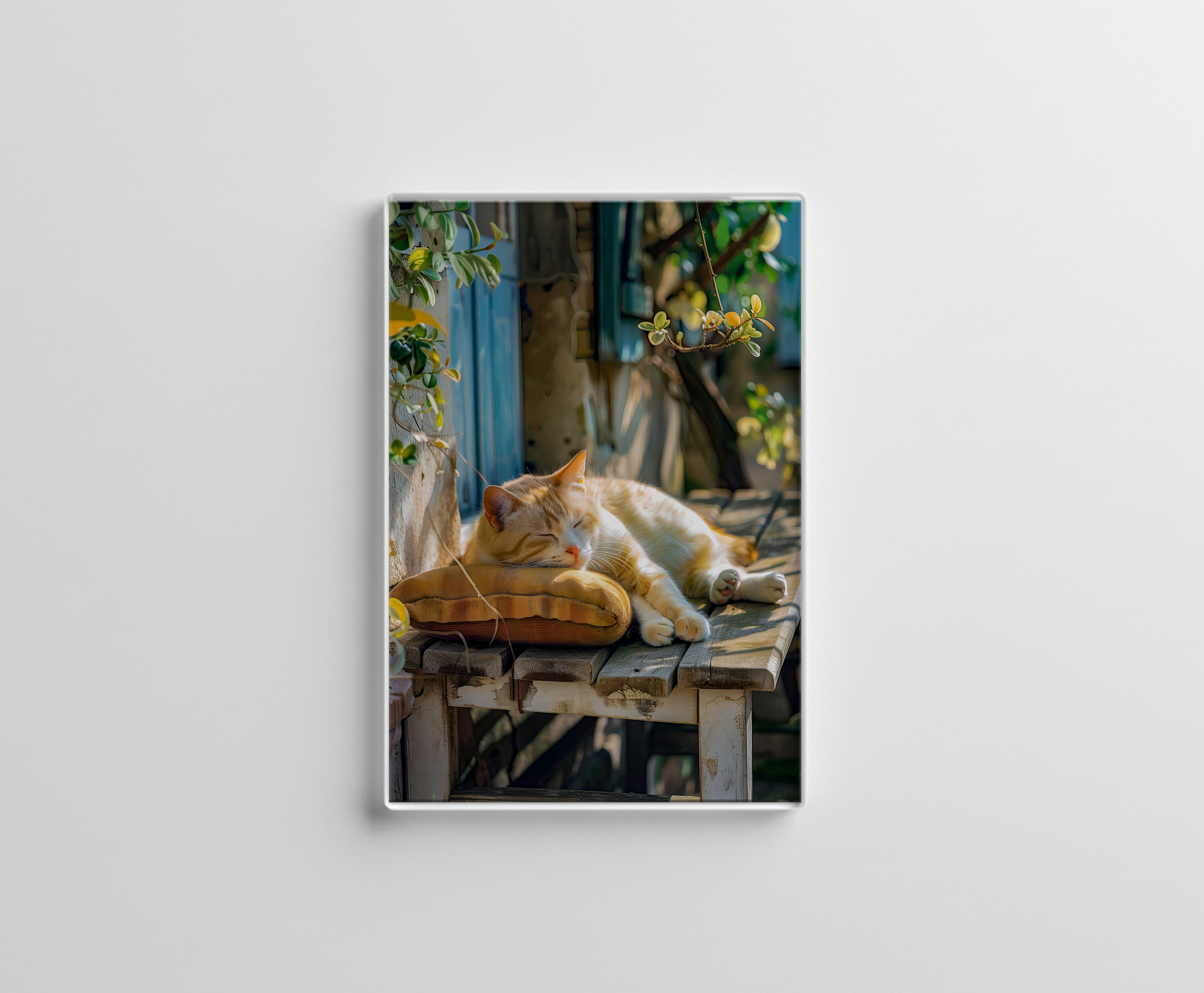 raxxa Glas-Magnet: A sleeping cat rests peacefully in a cozy environment on bench in front of a house