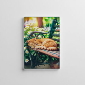 raxxa Glas-Magnet: Cozy Cat Napping in Comfortable Setting on a garden bench