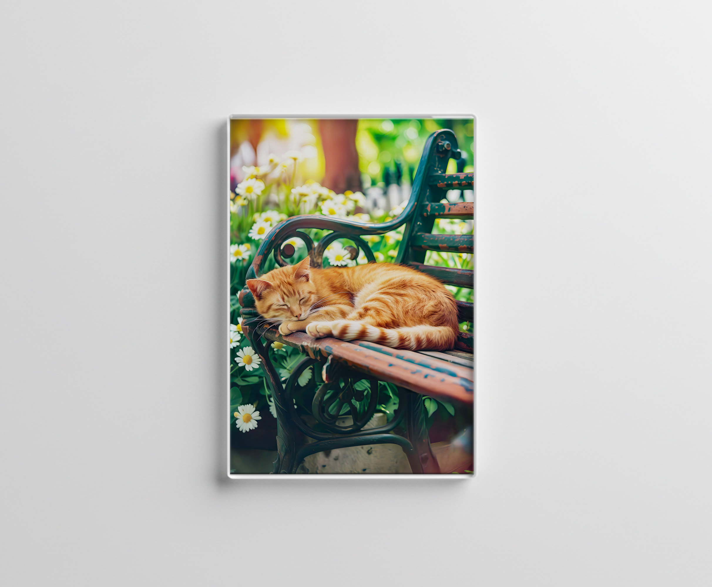 raxxa Glas-Magnet: Cozy Cat Napping in Comfortable Setting on a garden bench