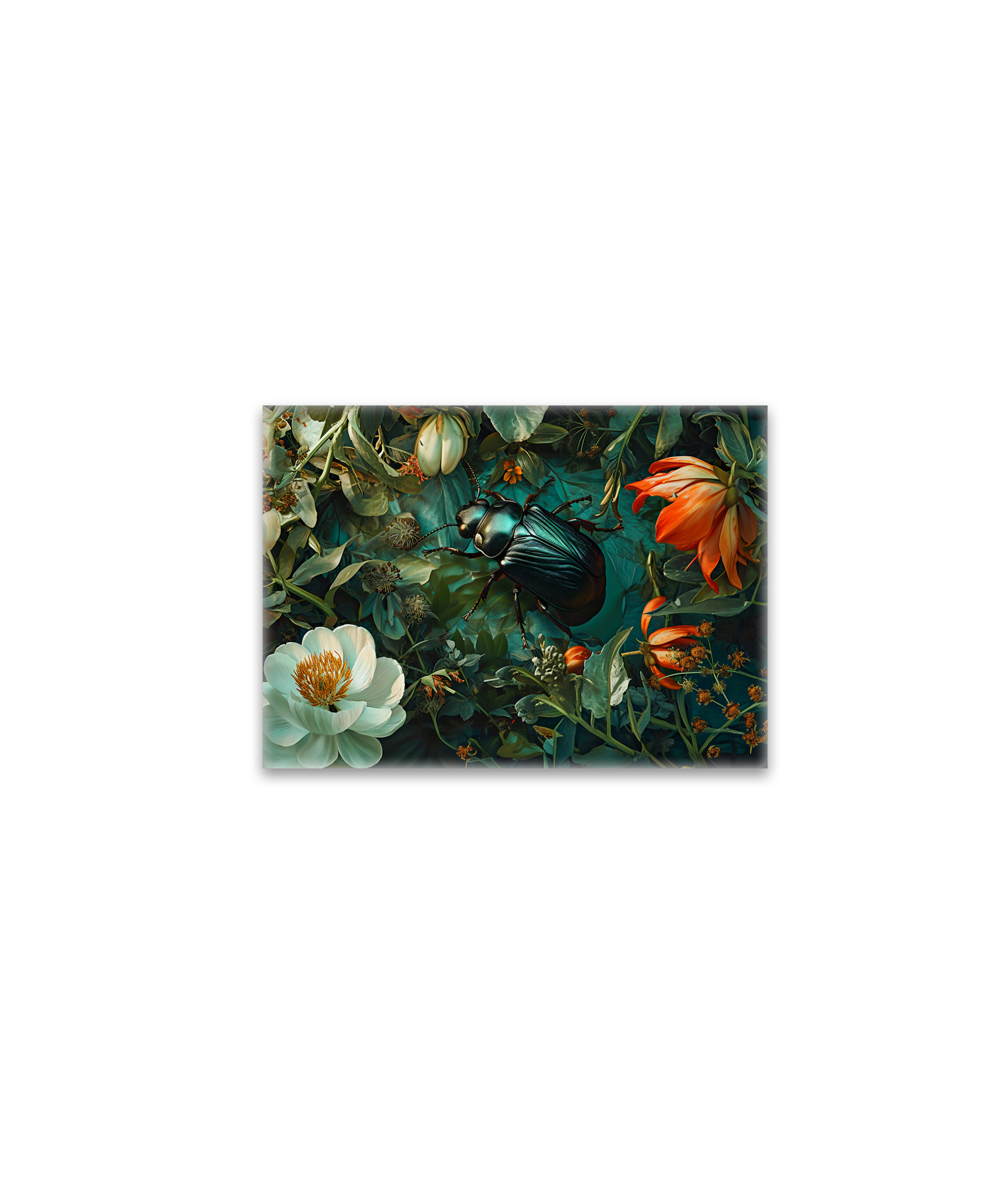 raxxa Glas-Magnet: Fat Dung Beetle Between Dahlia Blooms Illustration