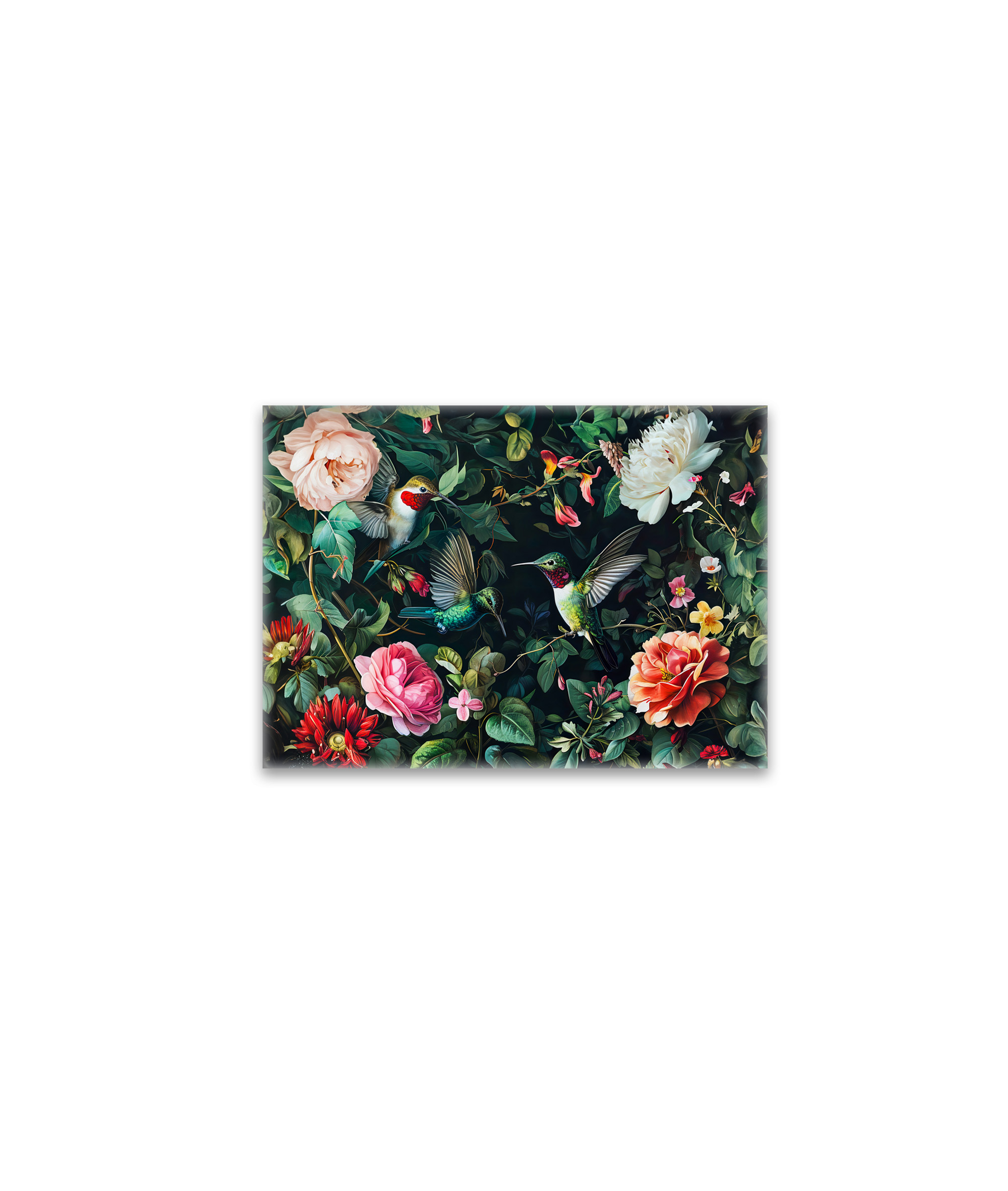 raxxa Glas-Magnet: Hummingbirds with Climbing Vines and Rose Hedge Illustration
