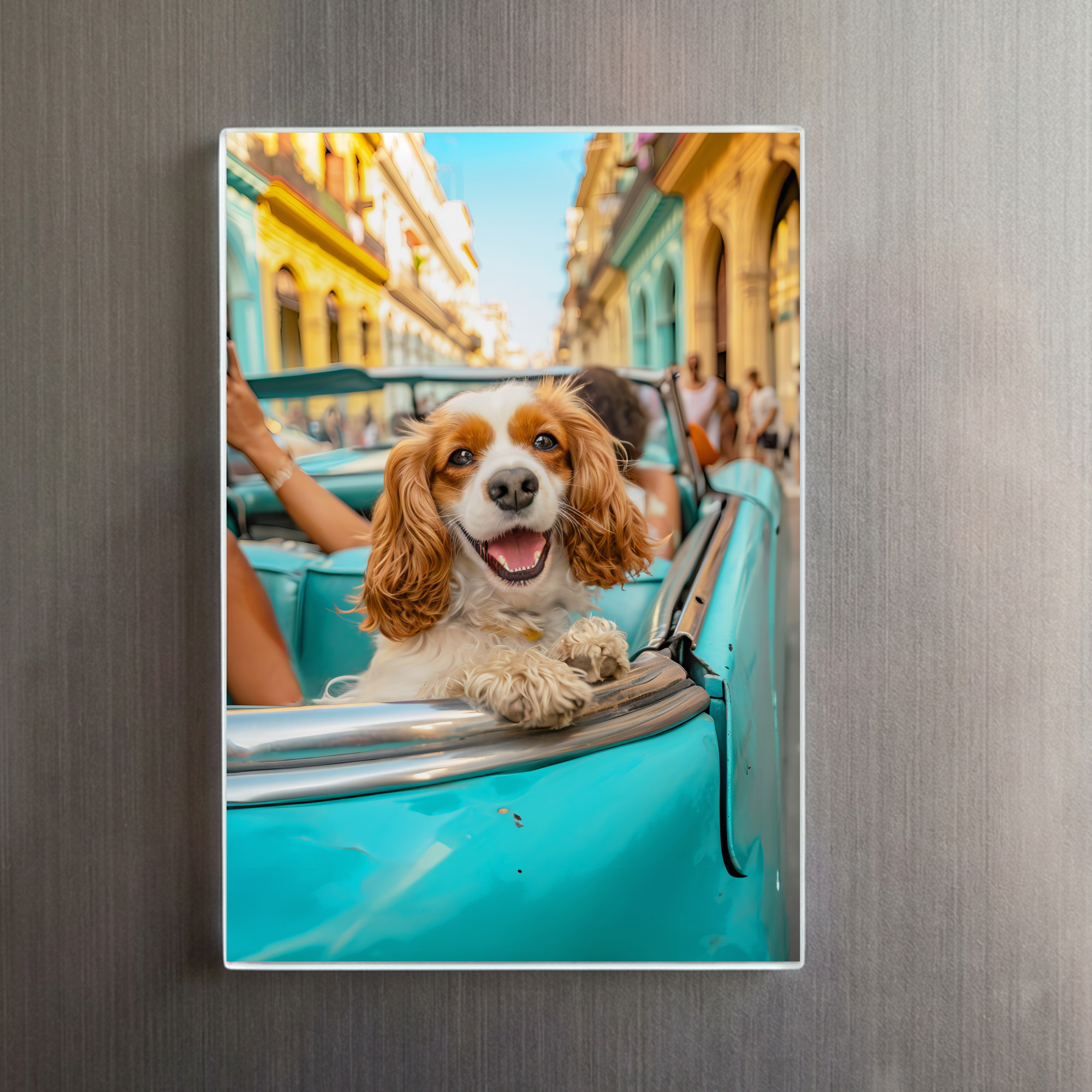 raxxa Glas-Magnet: King Charles Cocker Spaniel in Cuba – Bild 2