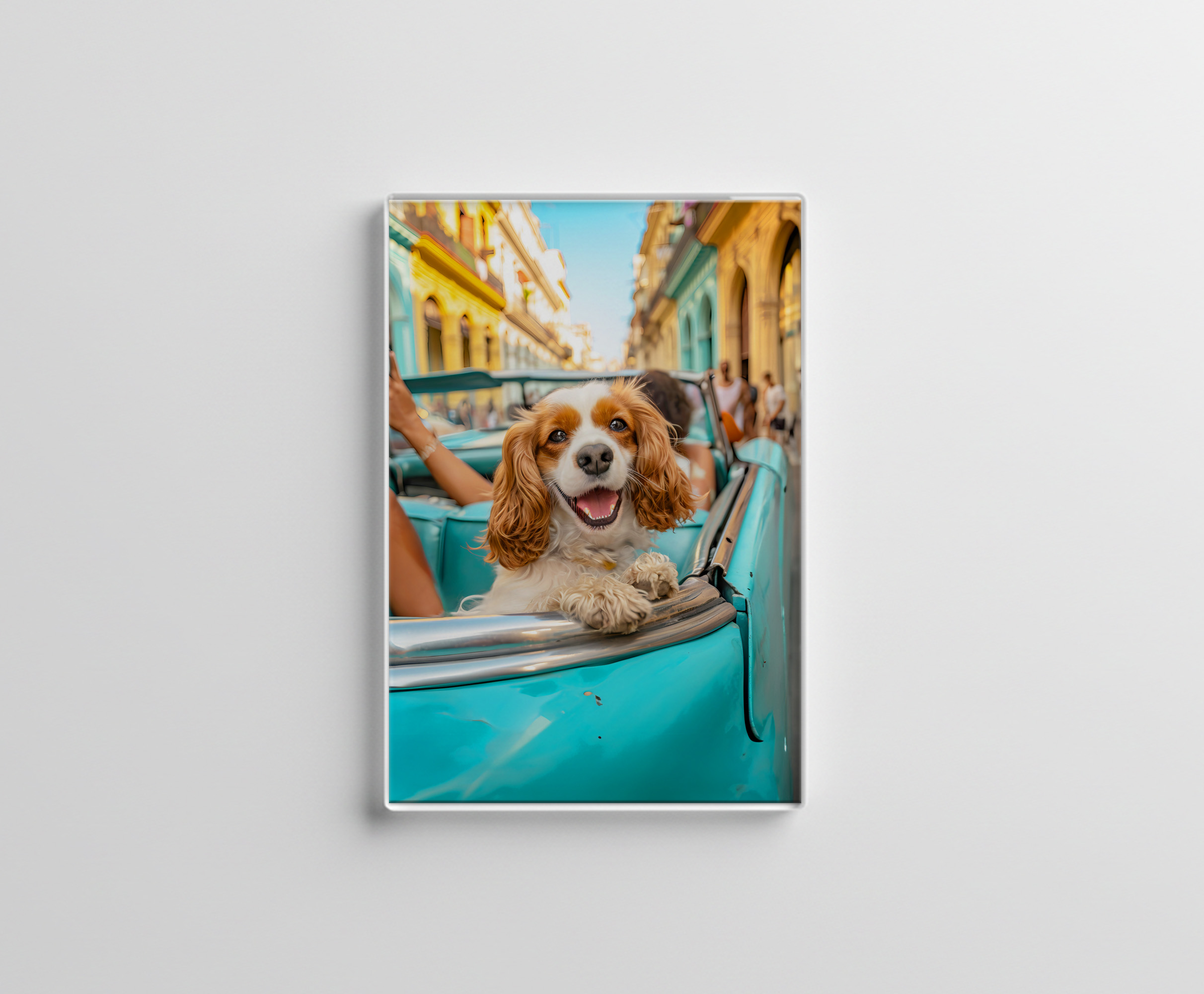 raxxa Glas-Magnet: King Charles Cocker Spaniel in Cuba
