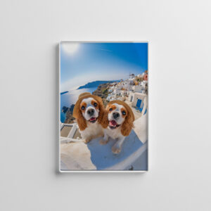 raxxa Glas-Magnet: King Charles Cocker Spaniel Takes Selfies in Santorini Greece