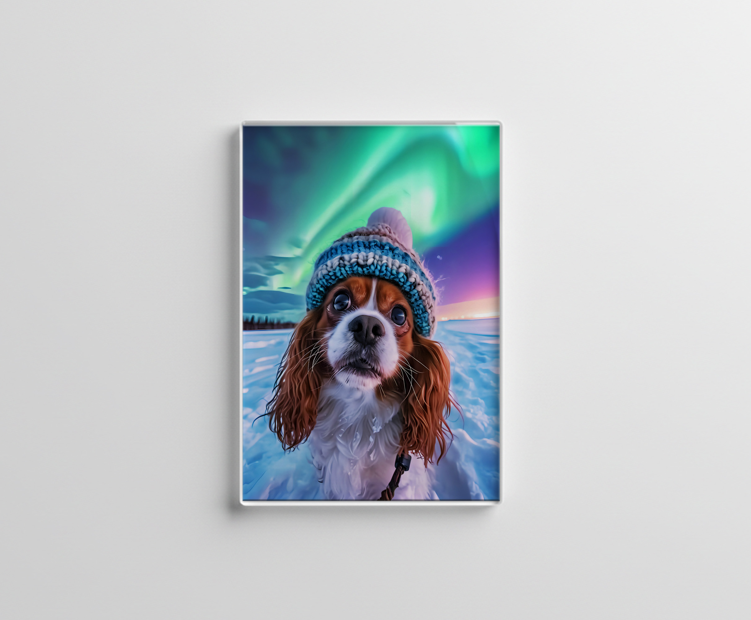 raxxa Glas-Magnet: King Charles Cocker Spaniel Takes Selfies with northern lights