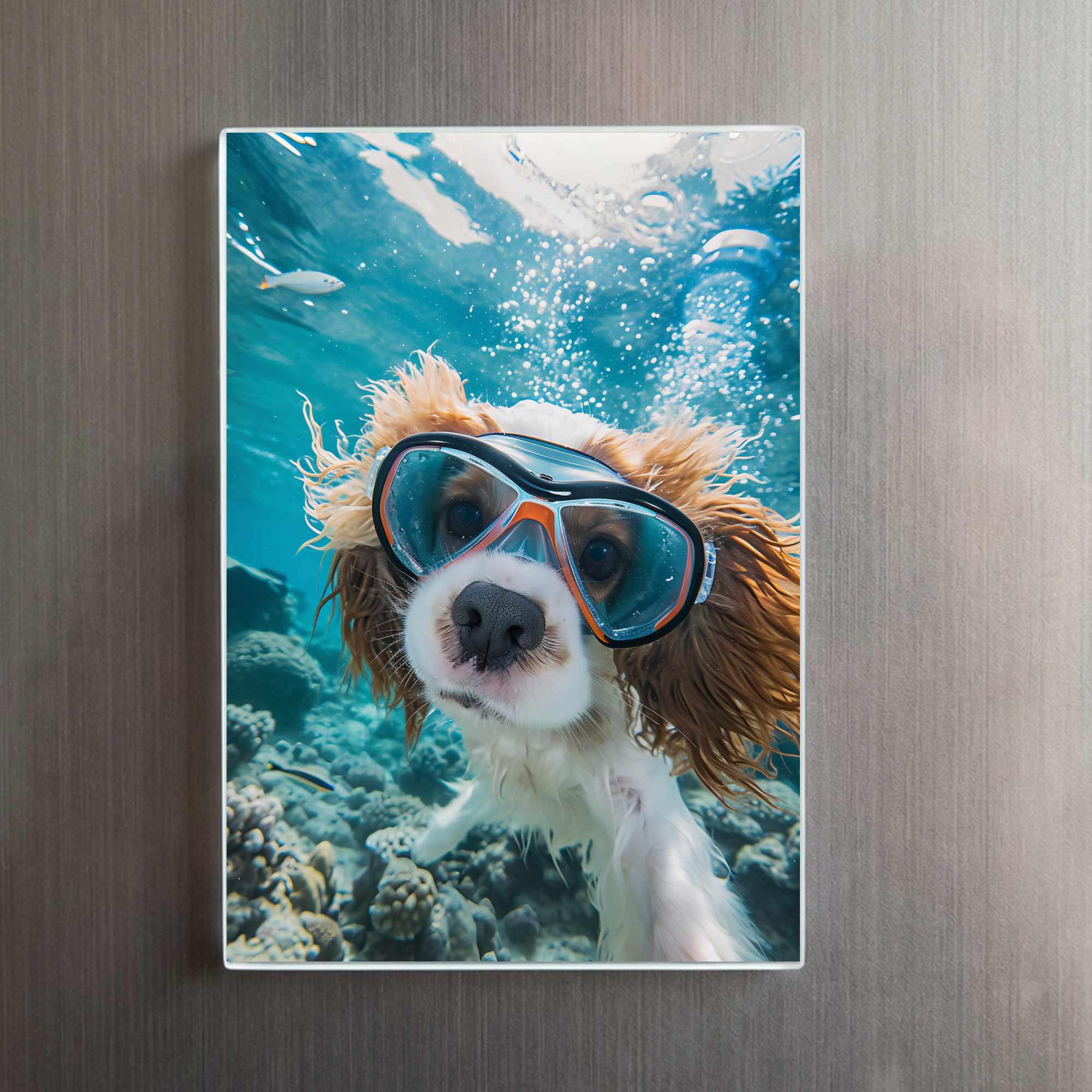 raxxa Glas-Magnet: King Charles Cocker Spaniel Takes Selfies driving on a coral riff – Bild 2