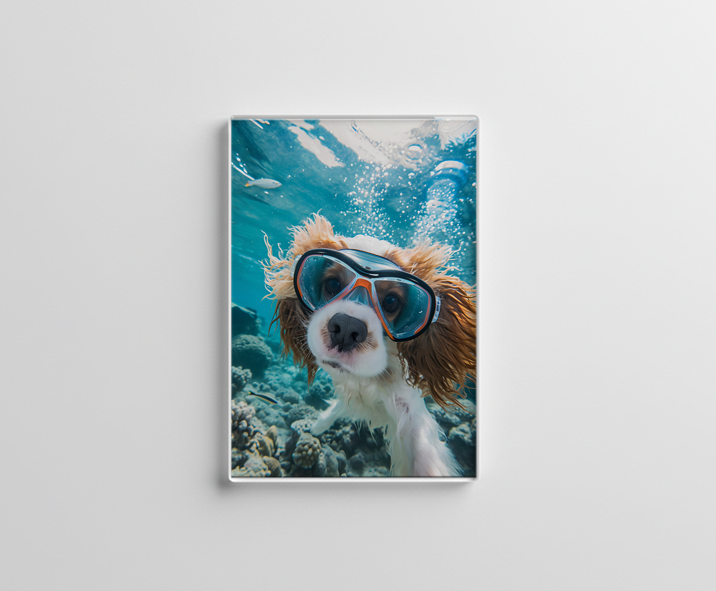 raxxa Glas-Magnet: King Charles Cocker Spaniel Takes Selfies driving on a coral riff