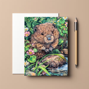 raxxa Postkarte: Little Beaver by Creek Bank