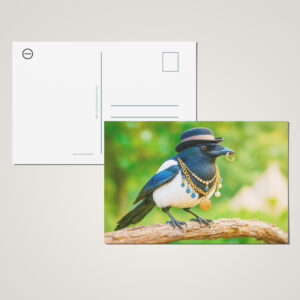 raxxa Postkarte: Magpie Covered in Jewelry and Gems