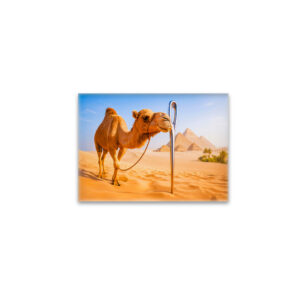 raxxa Glas-Magnet: Camel Squeezing Through a Needle’s Eye