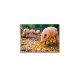 raxxa Glas-Magnet: Pearls Before Swine in Muddy Pen