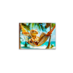raxxa Glas-Magnet: Dino Relaxing in Hammock