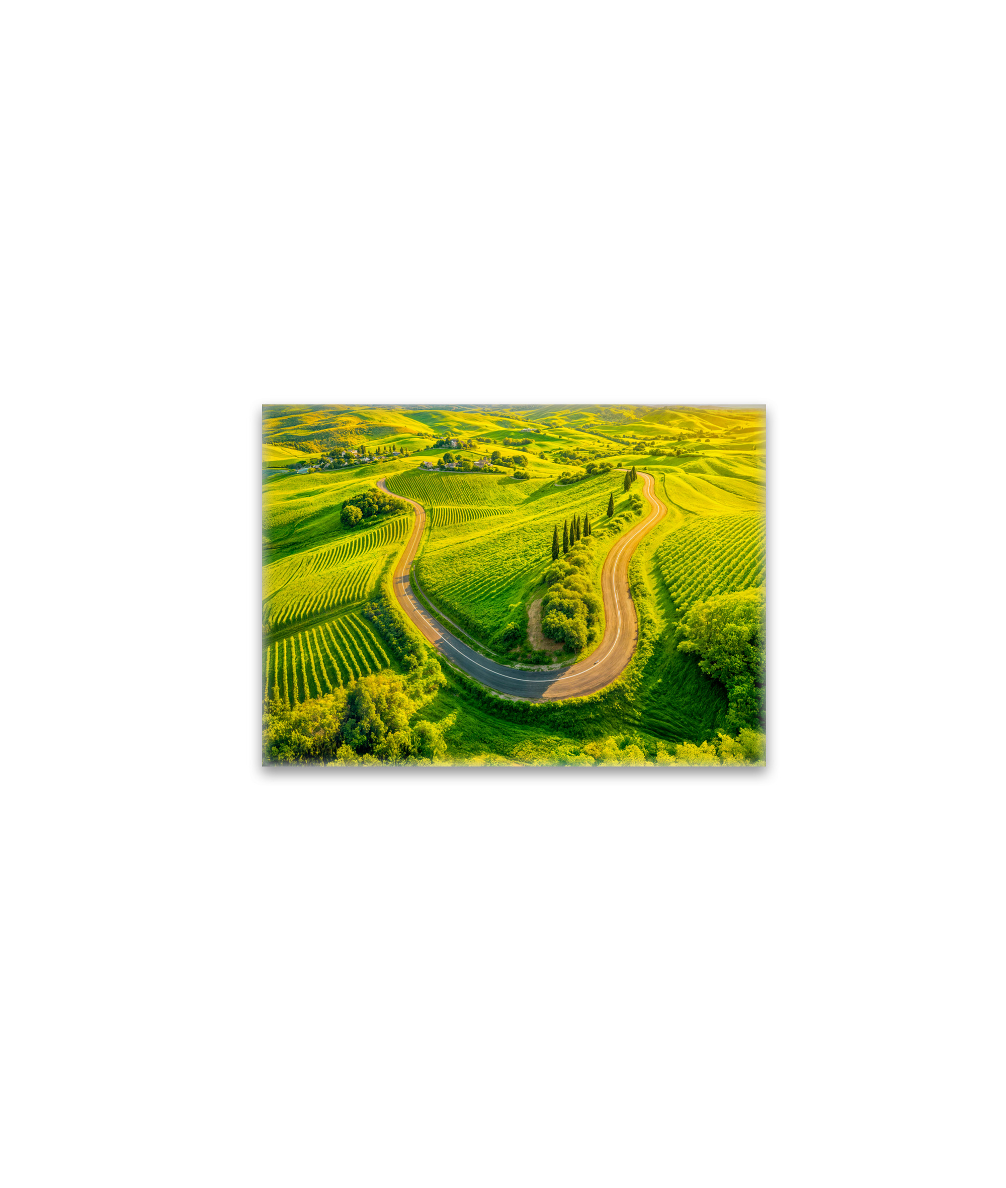 raxxa Glas-Magnet: Winding Roads Through Vineyards and Cypress Trees