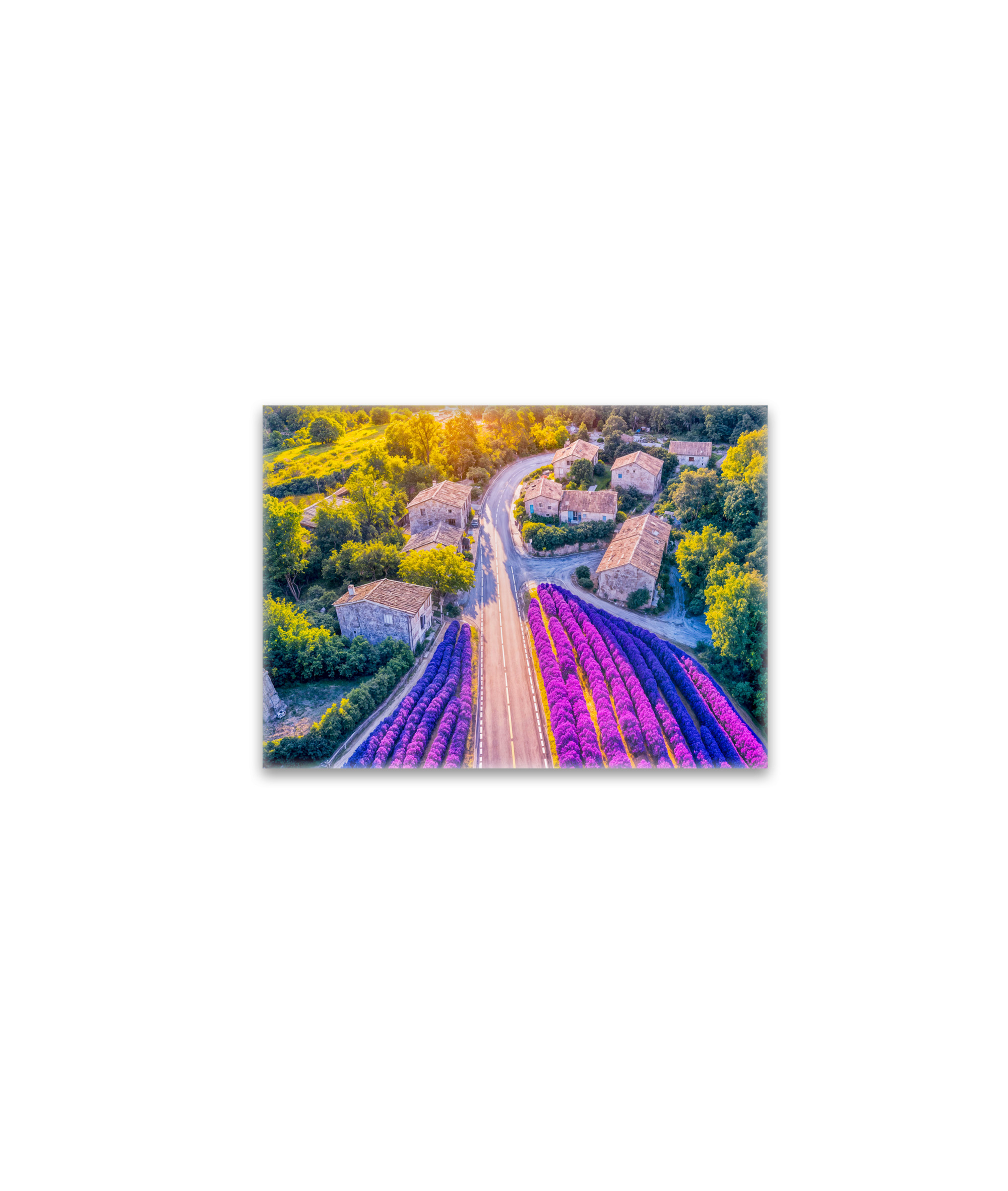 raxxa Glas-Magnet: Village with Lavender Fields and Winding Roads