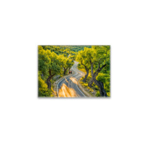 raxxa Glas-Magnet: Olive Grove with Old Tractor at Evening Road