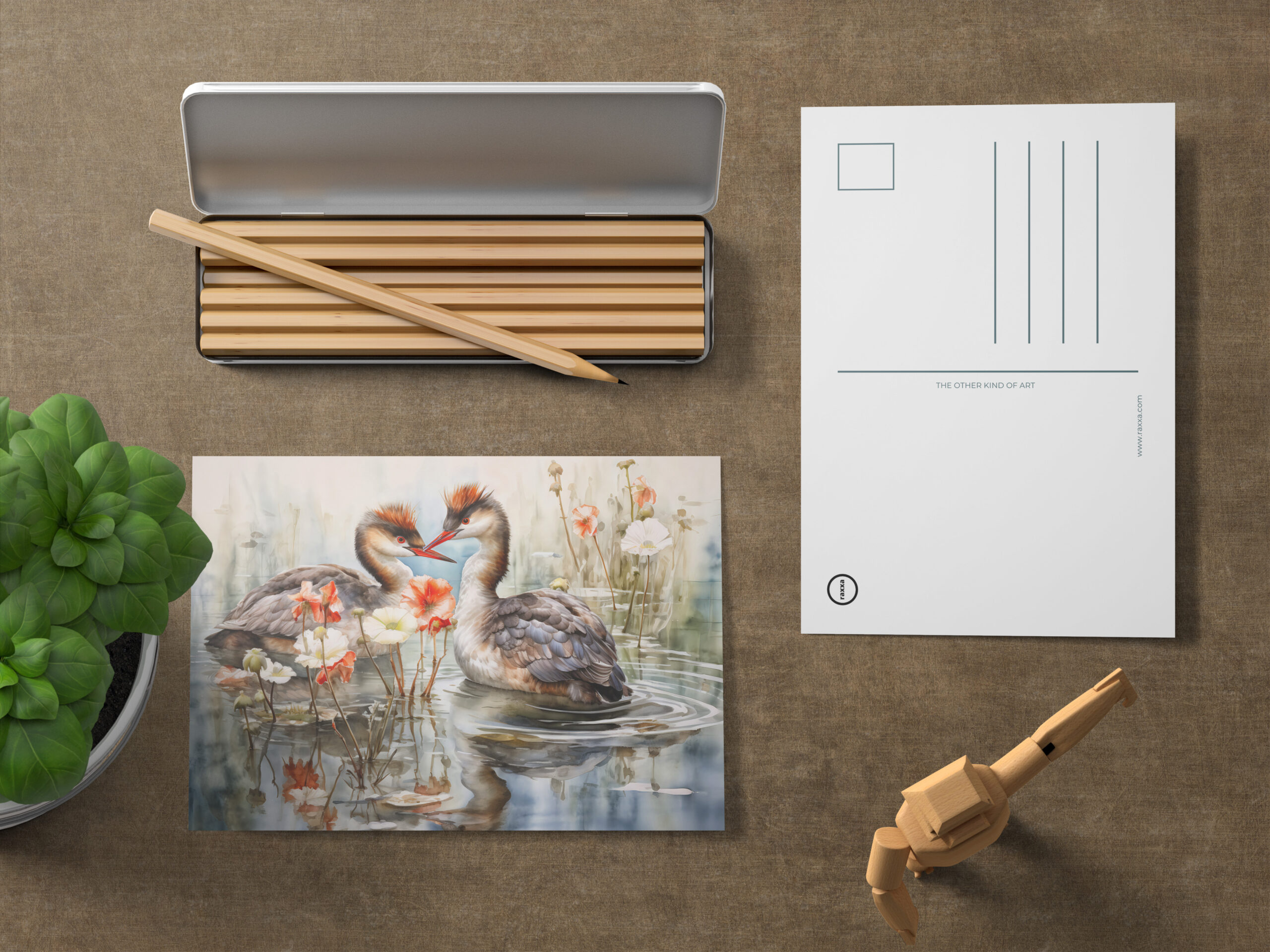 raxxa Postkarte: Two grebes among white pond plants