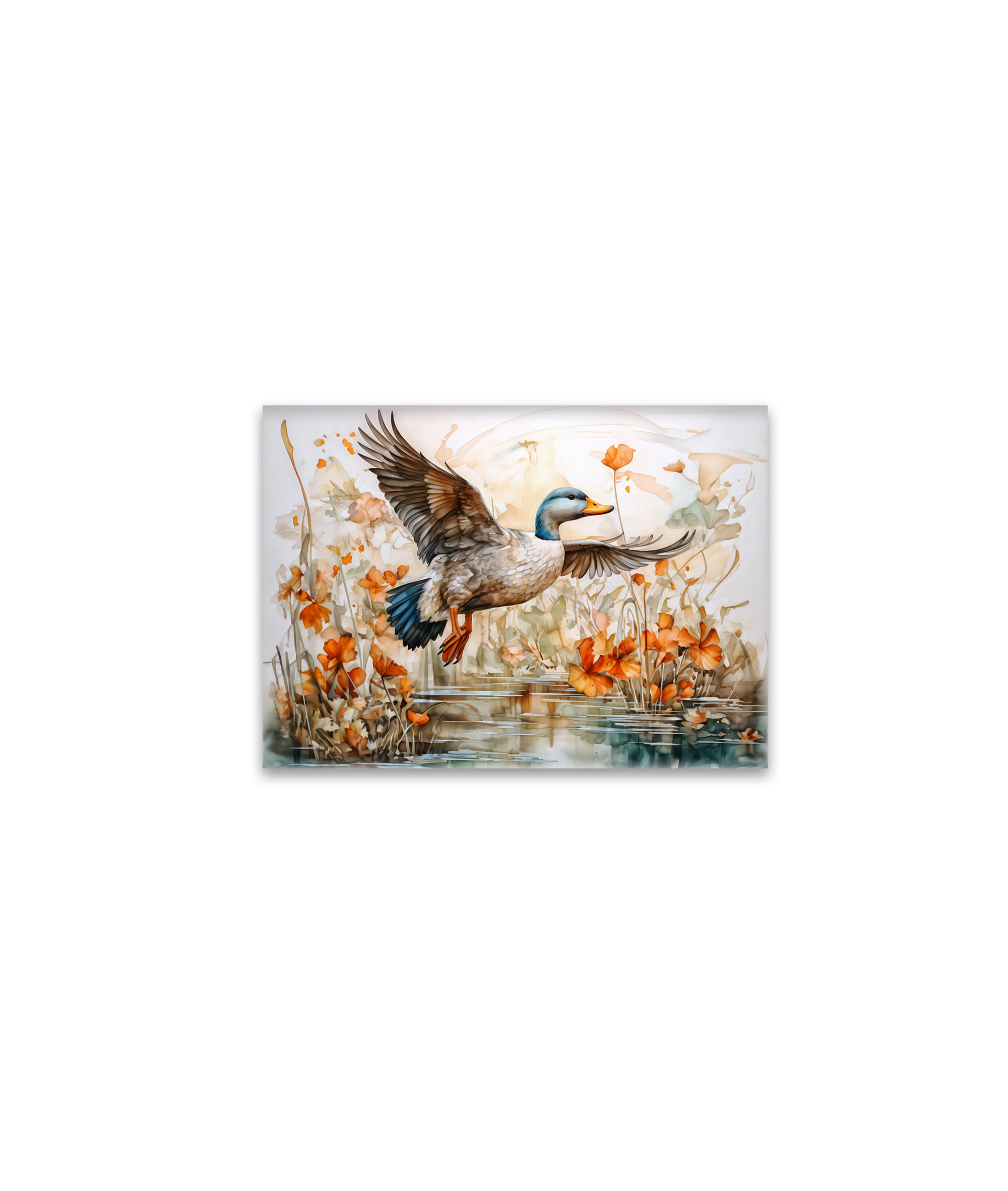 raxxa Glas-Magnet: Mallard flying above pond with flowers