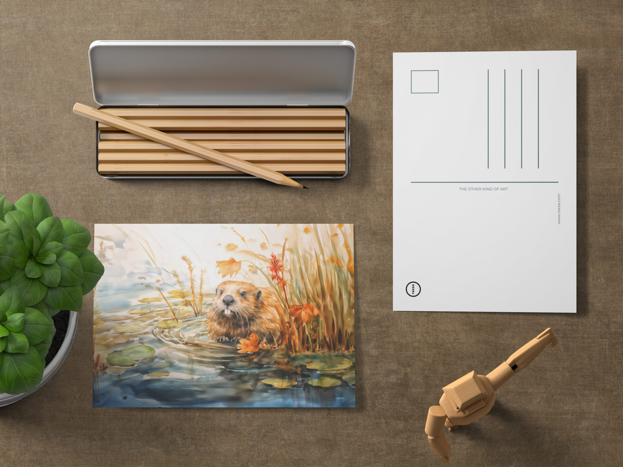 raxxa Postkarte: Beaver sitting by pond among reeds