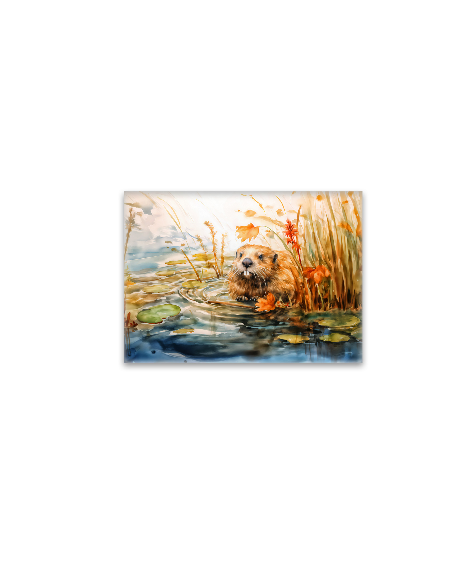 raxxa Glas-Magnet: Beaver sitting by pond among reeds