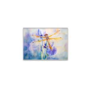 raxxa Glas-Magnet: Dragonfly resting on a lily watercolor painting
