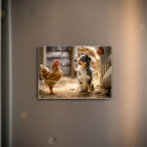 raxxa Glas-Magnet: Small Shepherd Dog and Chicken in the Henhouse