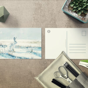 raxxa Postkarte: Arctic Hare in Winter Landscape