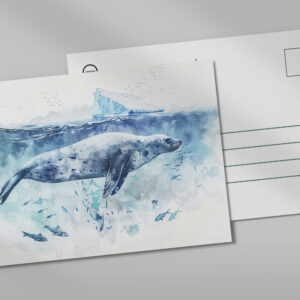 raxxa Postkarte: Seal Swimming Underwater with Fish
