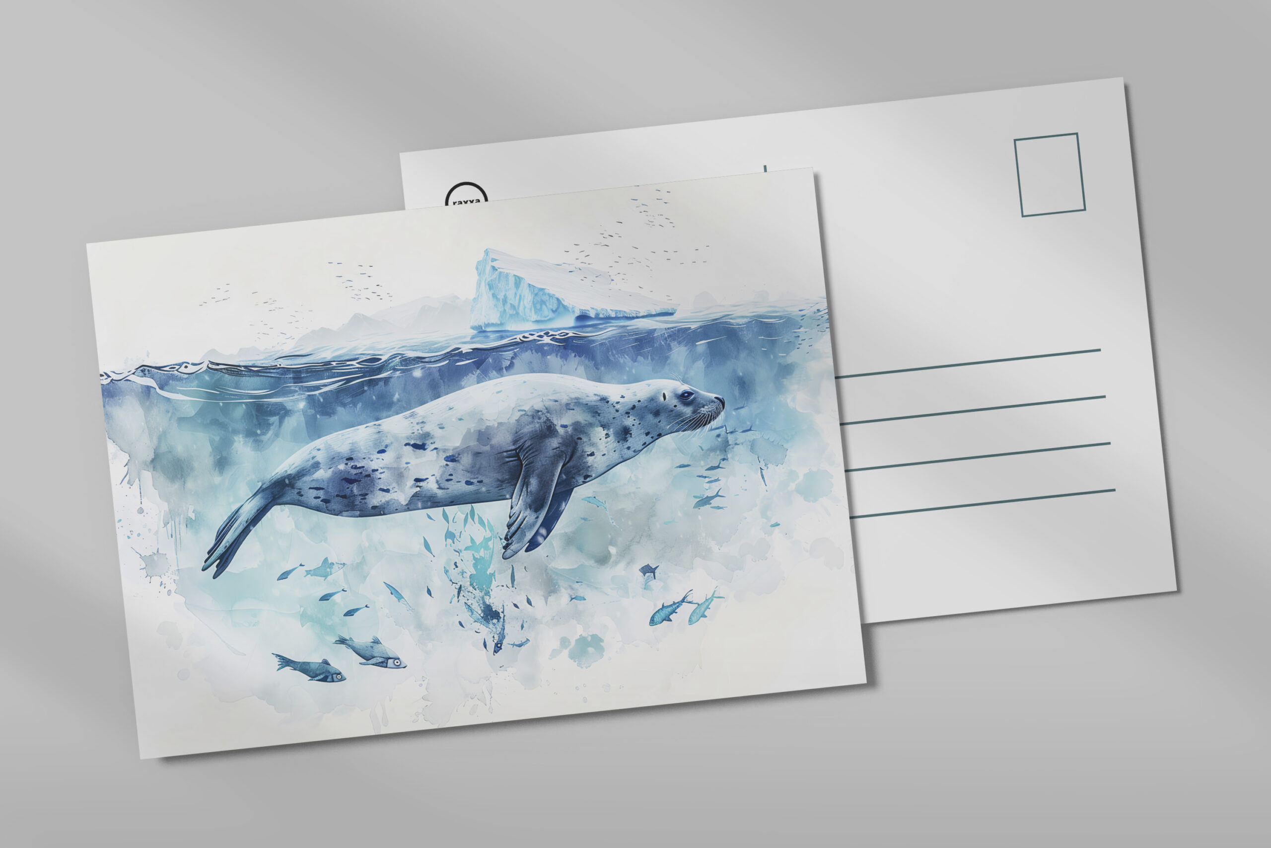 raxxa Postkarte: Seal Swimming Underwater with Fish