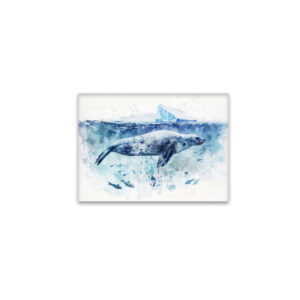 raxxa Glas-Magnet: Seal Swimming Underwater with Fish