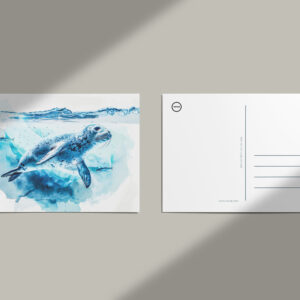 raxxa Postkarte: Seal Swimming Under Ice