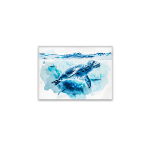 raxxa Glas-Magnet: Seal Swimming Under Ice