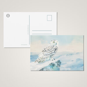 raxxa Postkarte: Snowy Owl in Frozen Landscape