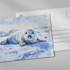 raxxa Postkarte: Seal Pup Resting on Arctic Ice