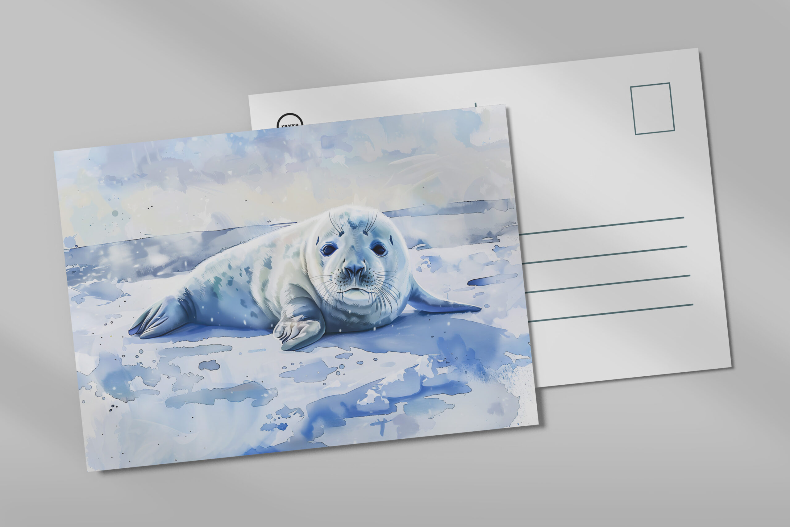 raxxa Postkarte: Seal Pup Resting on Arctic Ice