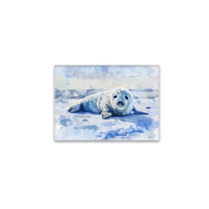 raxxa Glas-Magnet: Seal Pup Resting on Arctic Ice