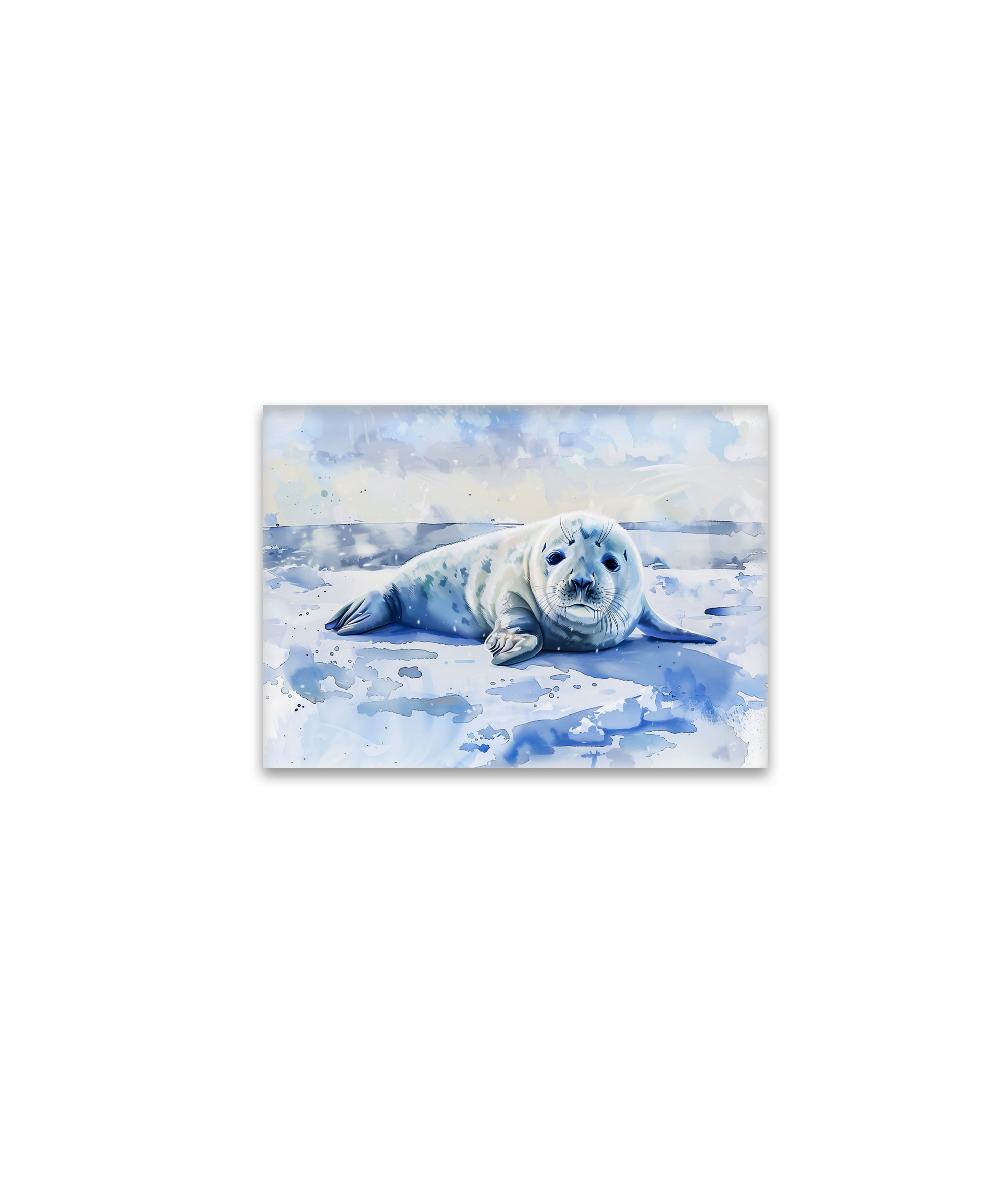 raxxa Glas-Magnet: Seal Pup Resting on Arctic Ice