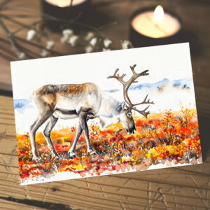raxxa Postkarte: Reindeer in Autumn Tundra