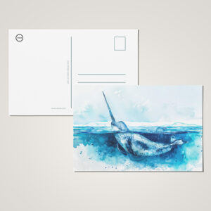 raxxa Postkarte: Narwhal Swimming in Arctic Waters
